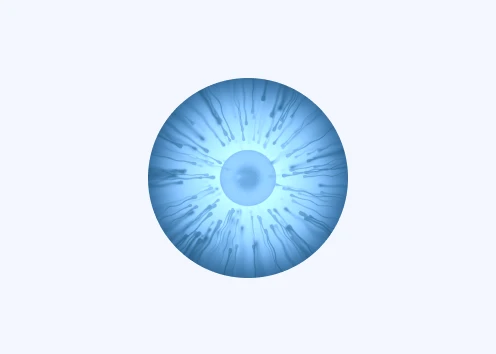 Fertilidad Test