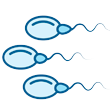 Test de Fertilidad Online
