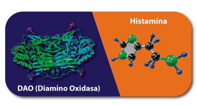 no detectan la histamina DAO