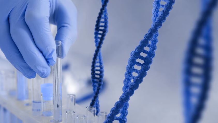 Cómo se interpreta el resultado y por qué es más relevante que el colesterol