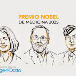 Premio Nobel de Médicina 2025. Mary E. Brunkow, Fred Ramsdell y Shimon Sakaguchi