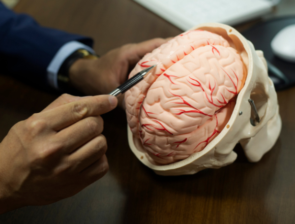 Protege tu cerebro de edulcorantes y azúcar. Jorge Dotto Blog