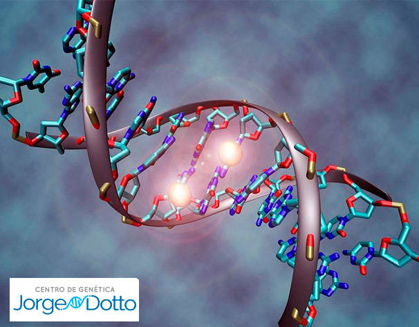 Metilación Ayuda a fertilidad