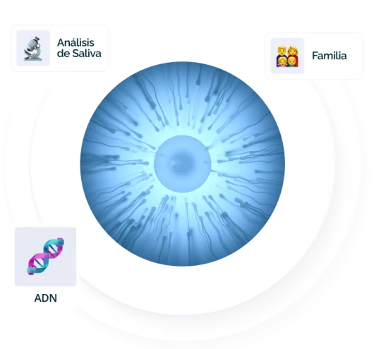 Test ADN de Fertilidad mediante saliva Test ADN de Fertilidad mediante saliva